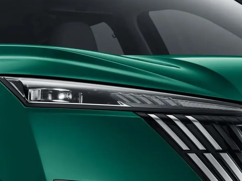 dongfeng mage IMAGE