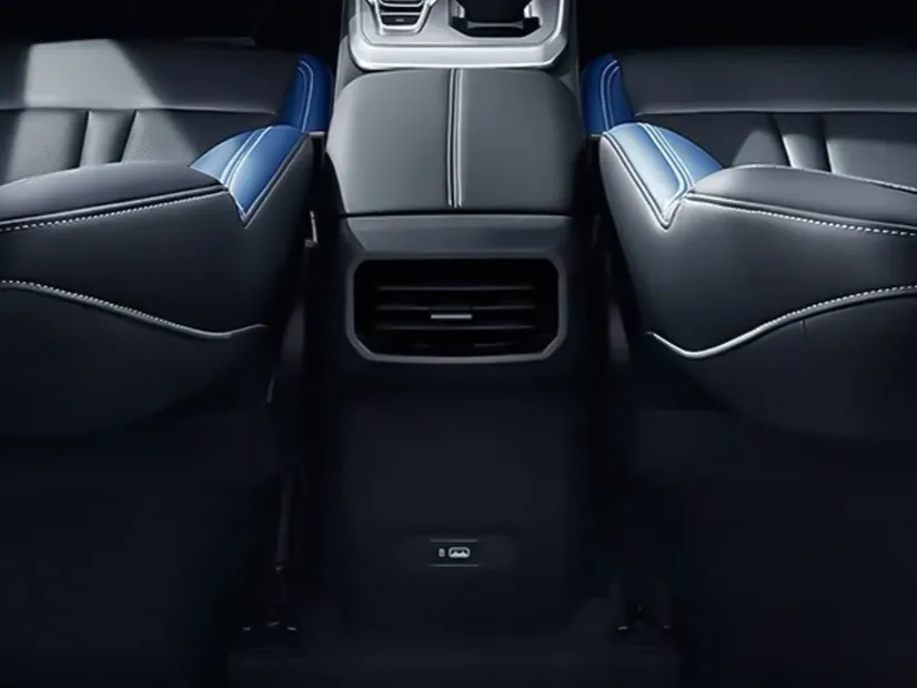gac emzoom IMAGE