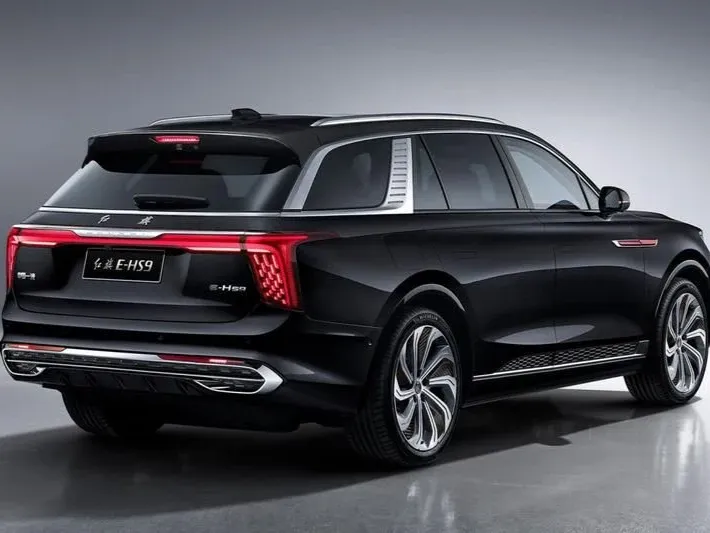 hongqi e-hs9 IMAGE