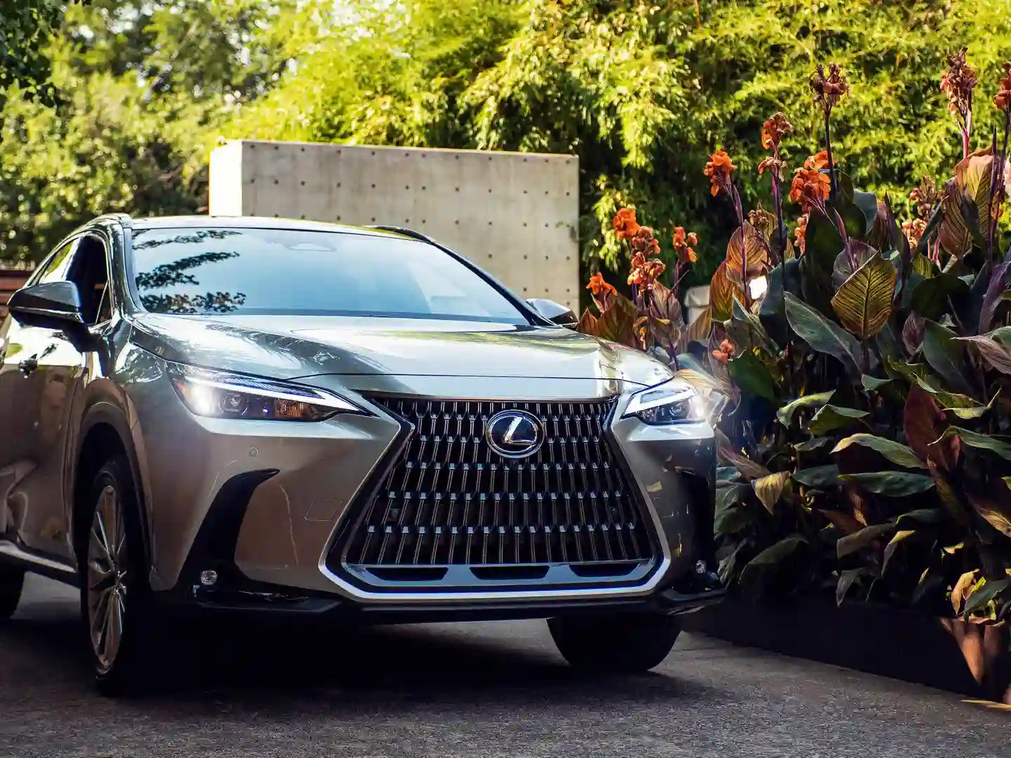 lexus nx350 IMAGE