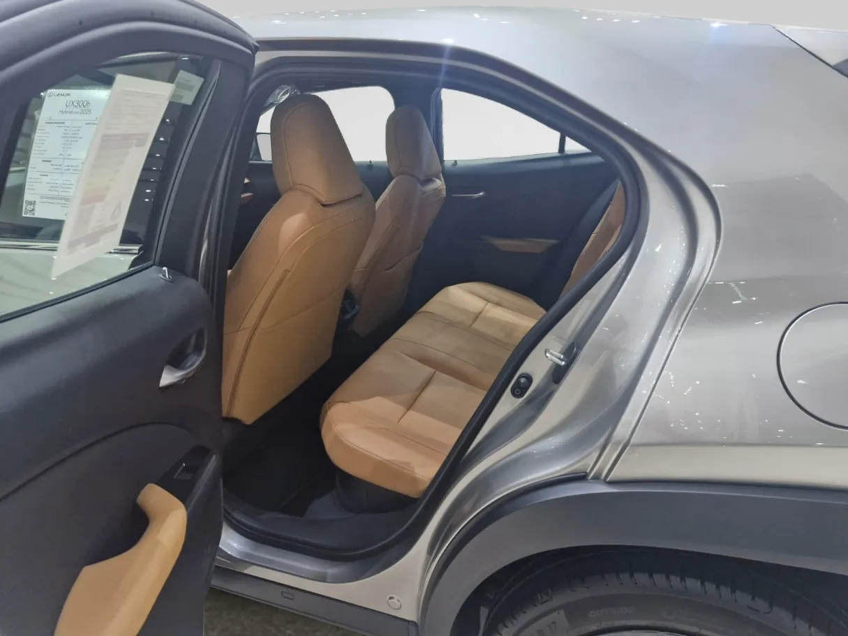 lexus ux300h IMAGE