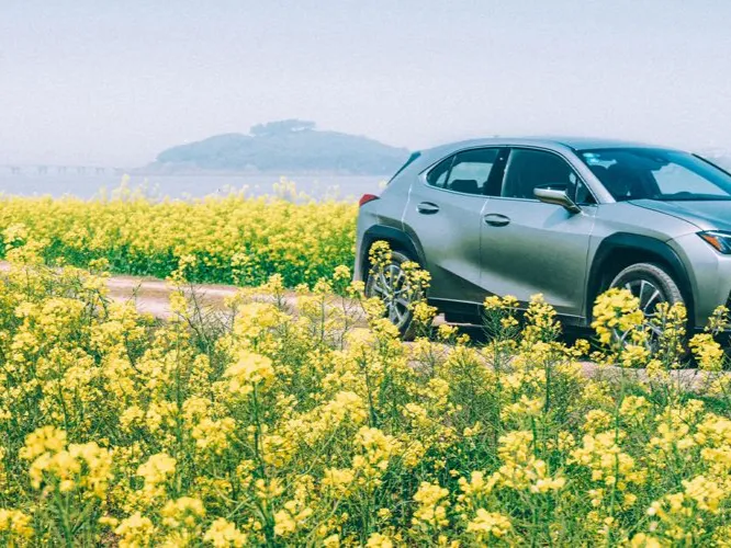 lexus ux300h IMAGE