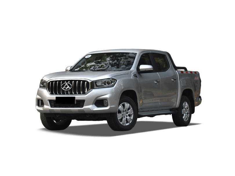 Maxus T60