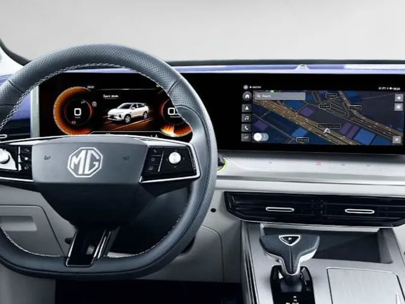 mg whale IMAGE