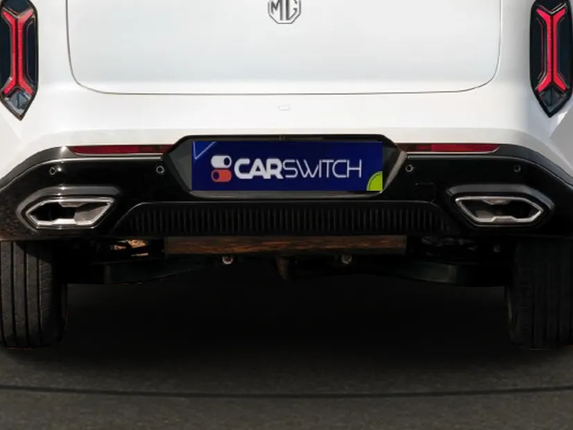 mg whale IMAGE