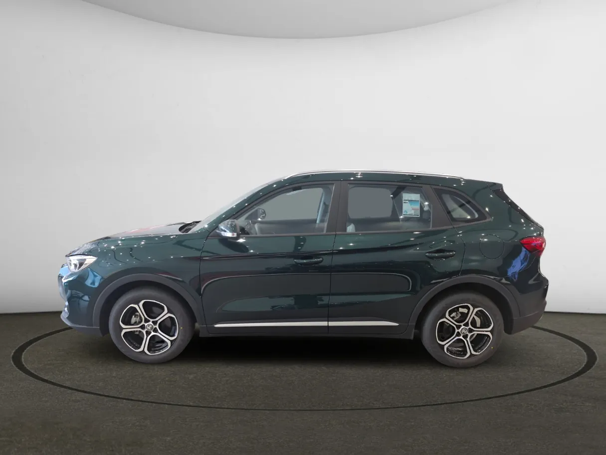mg zs IMAGE