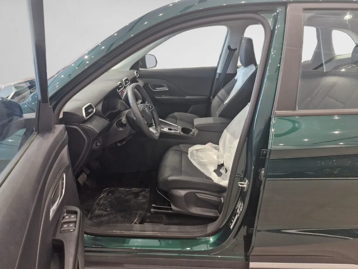 mg zs IMAGE