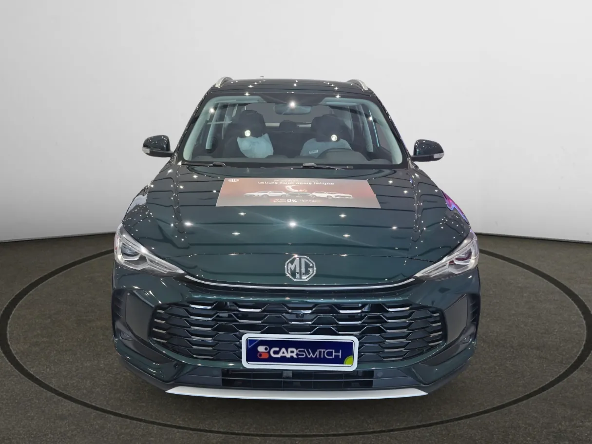 mg zs IMAGE