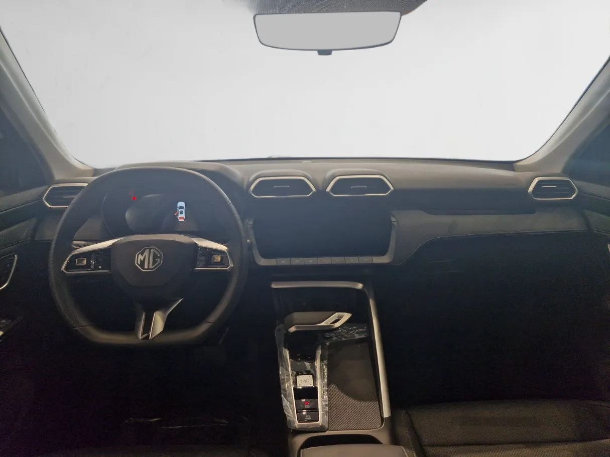 mg zs IMAGE