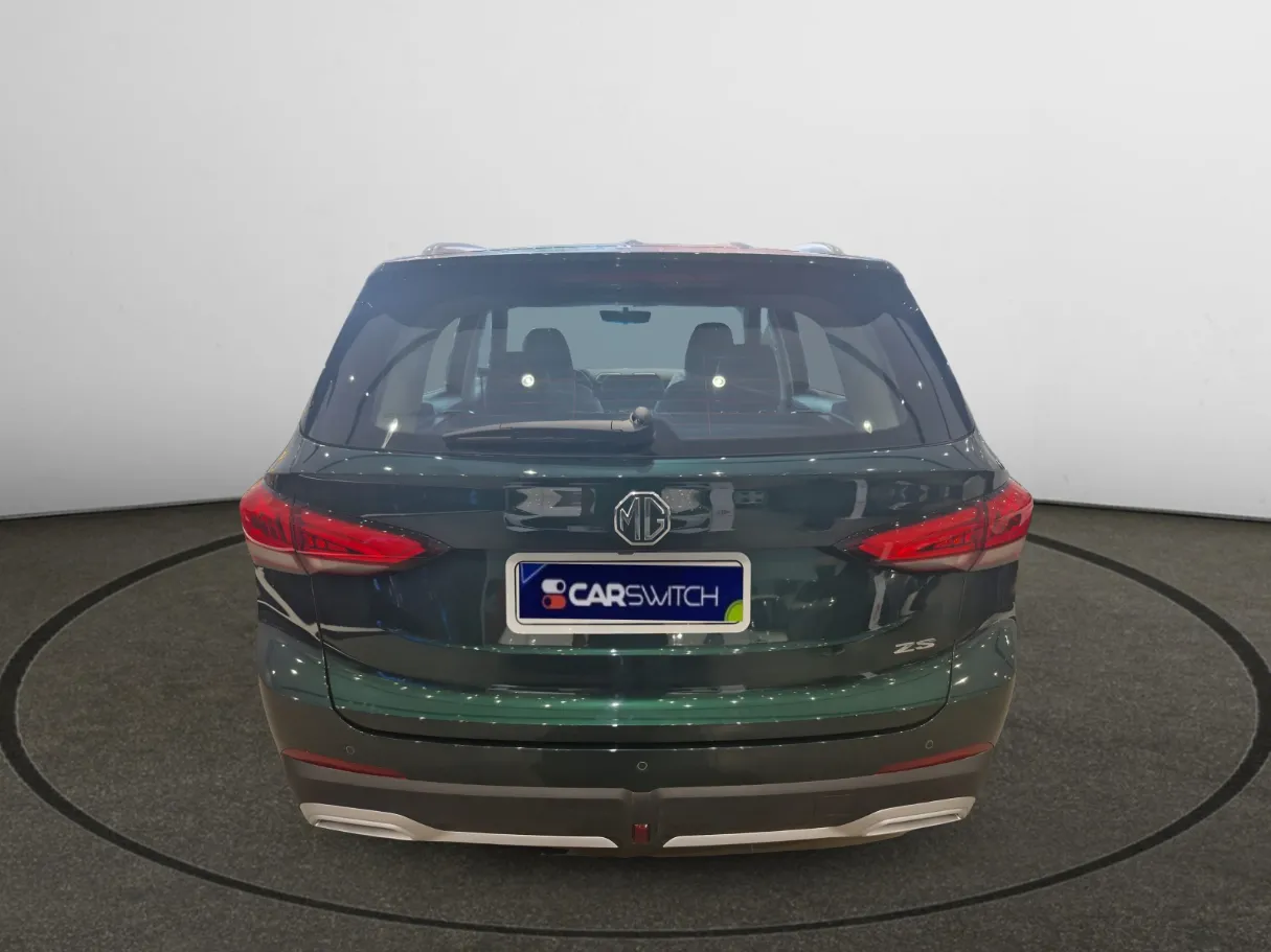 mg zs IMAGE