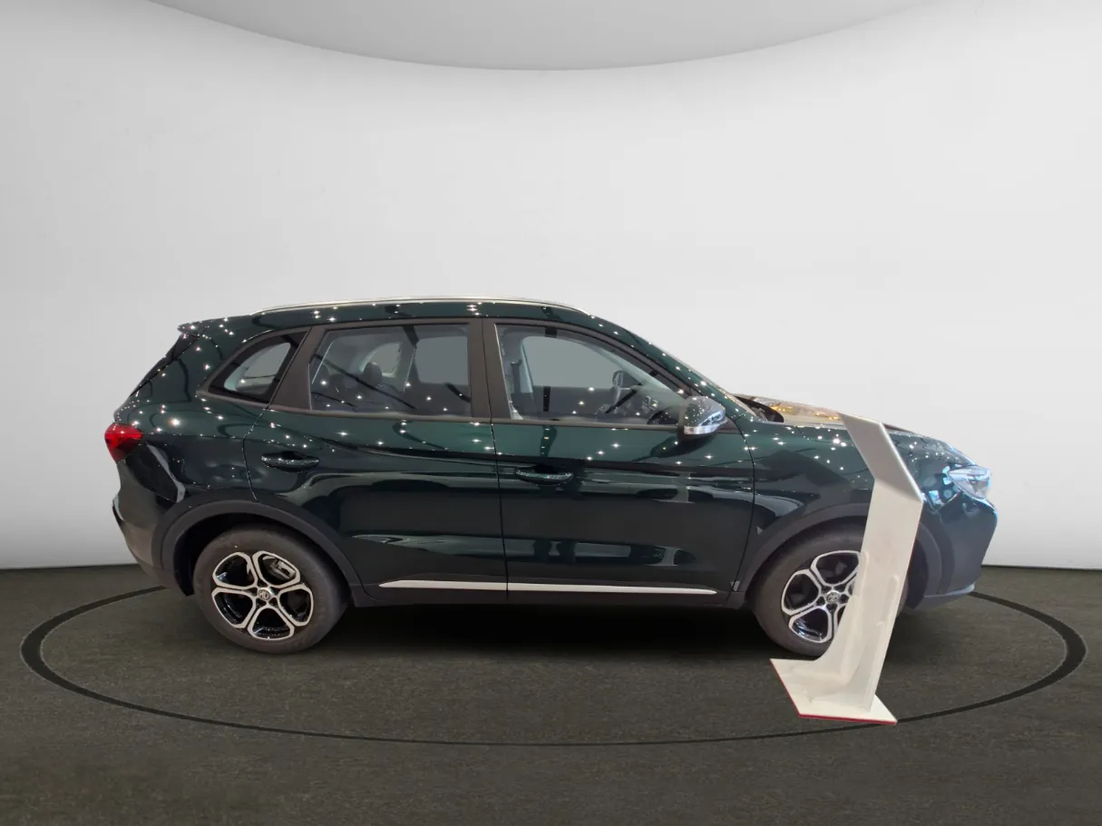 mg zs IMAGE