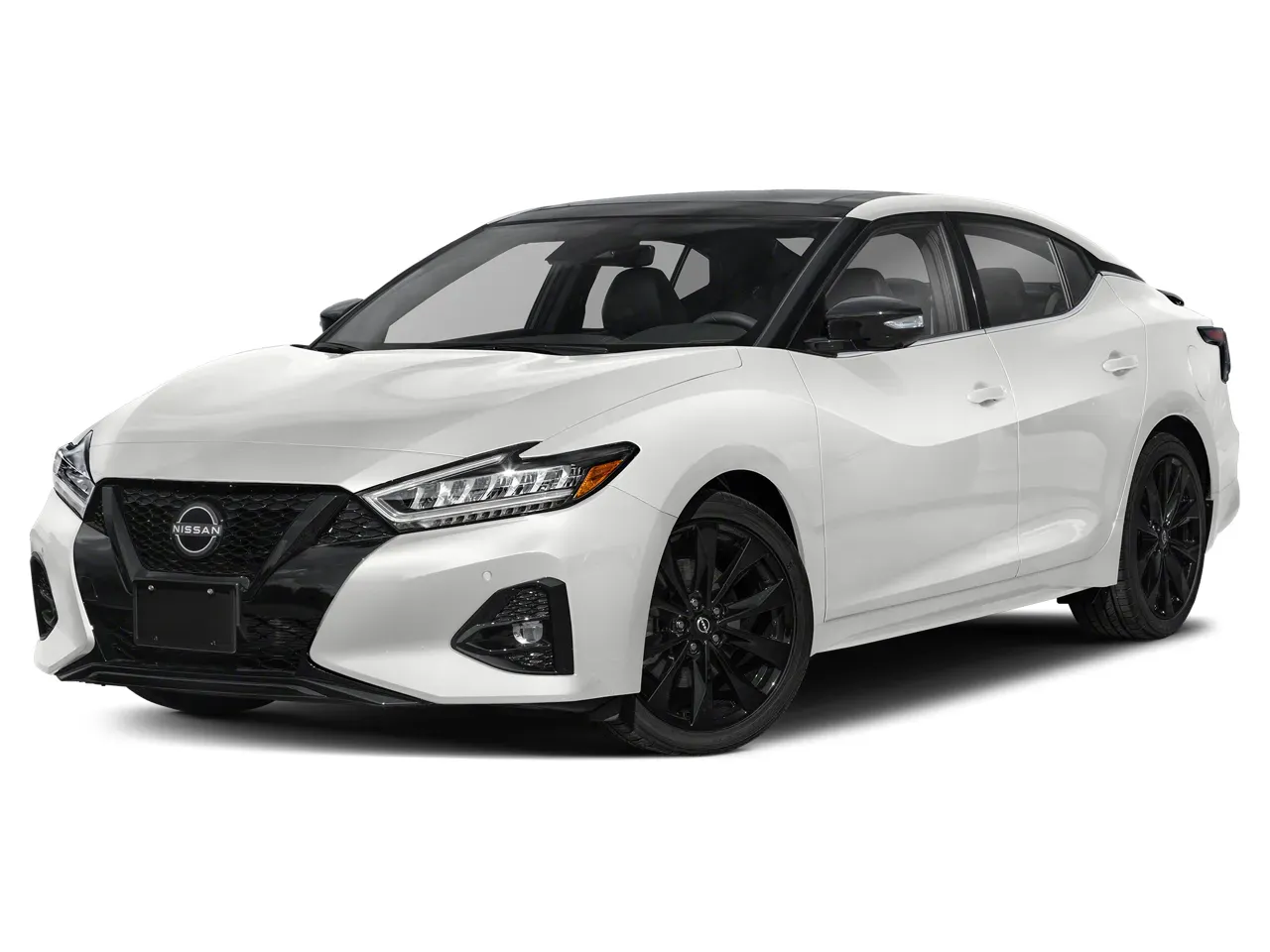 models.maxima
